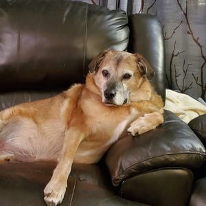 Meet your Posher, Barbara